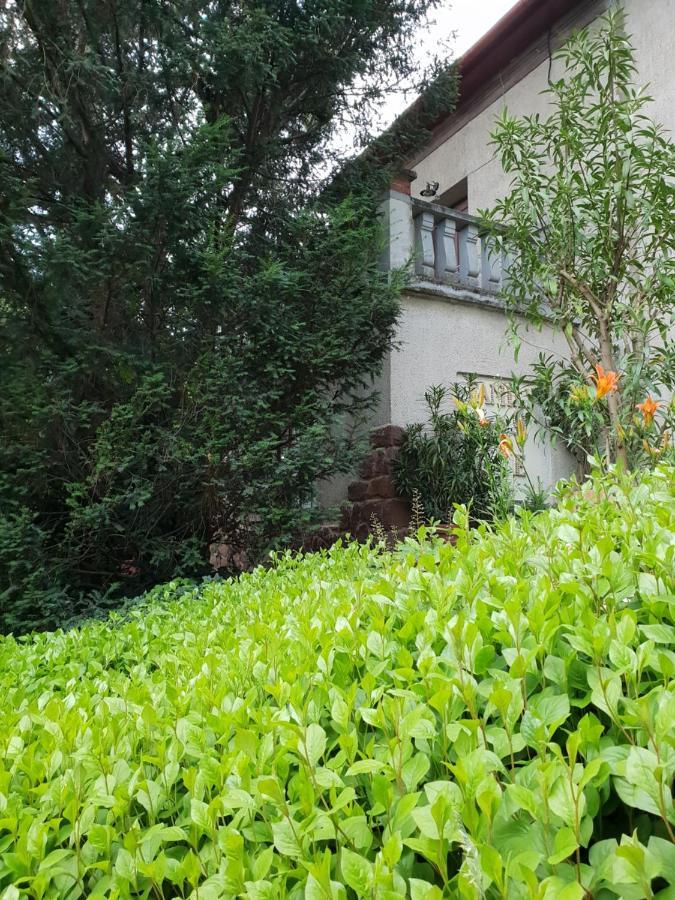 Kasza Villa Балатонфюред Екстер'єр фото
